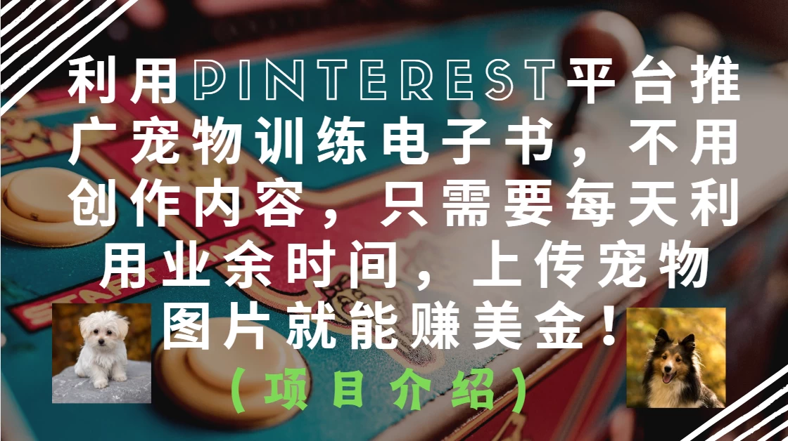 利用Pinterest平台推广宠物训练电子书，不用创作内容，只需要每天利用业余时间，上传宠物图片就能赚美金！ 第1张